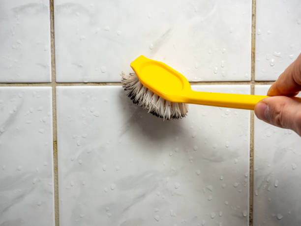 Moreauville, LA Mold Removal Company