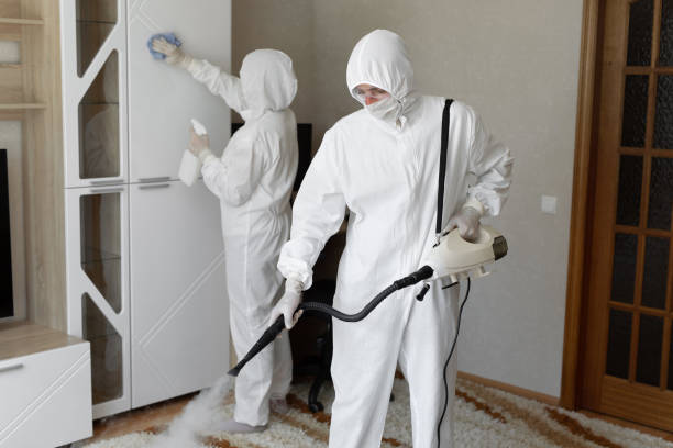 Best Home Mold Removal  in Moreauville, LA