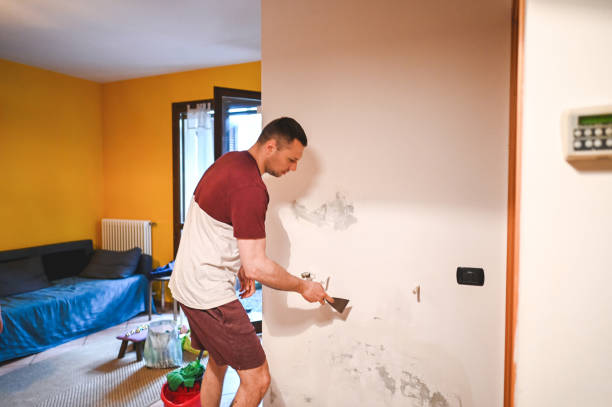 Best Mold Cleaning Services  in Moreauville, LA