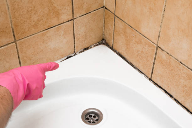 Best Fast Mold Removal  in Moreauville, LA